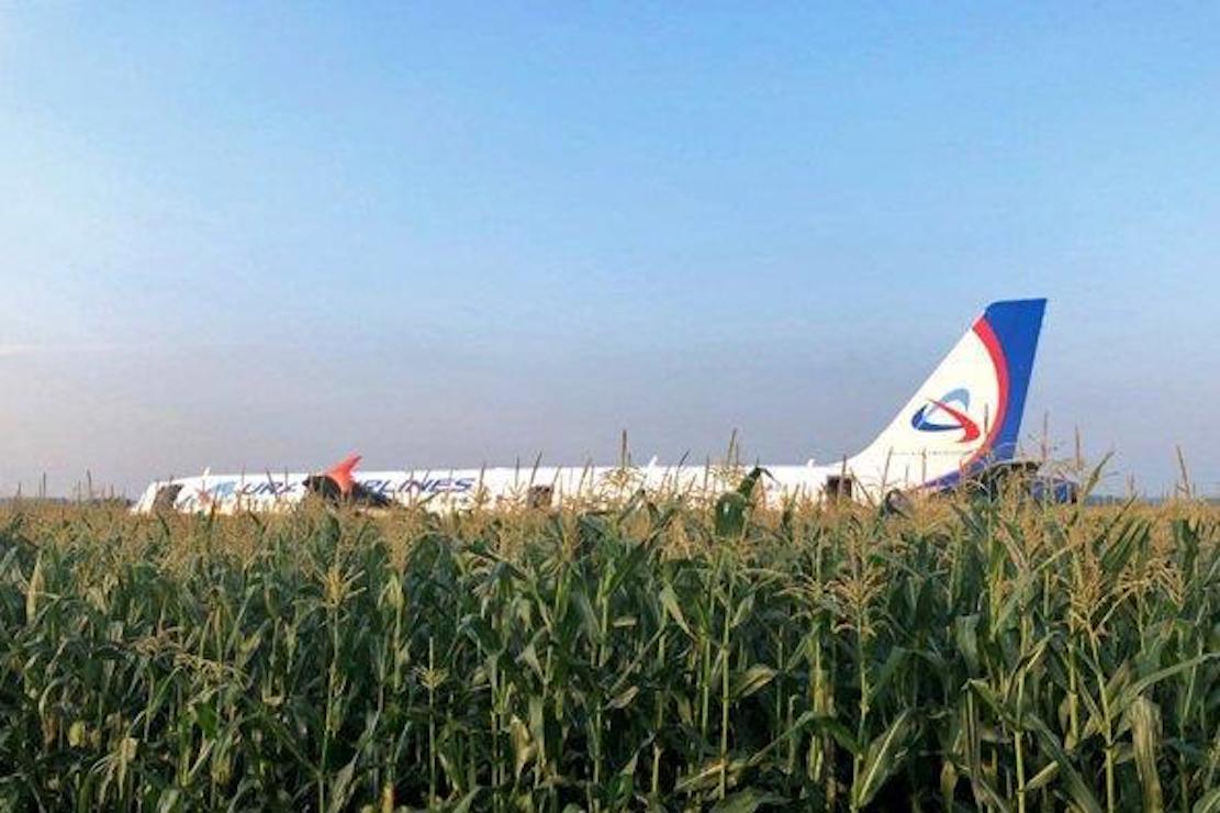 Пассажиров А321, совершившего жесткую посадку в кукурузном поле, отправят в Симферополь тремя рейсами