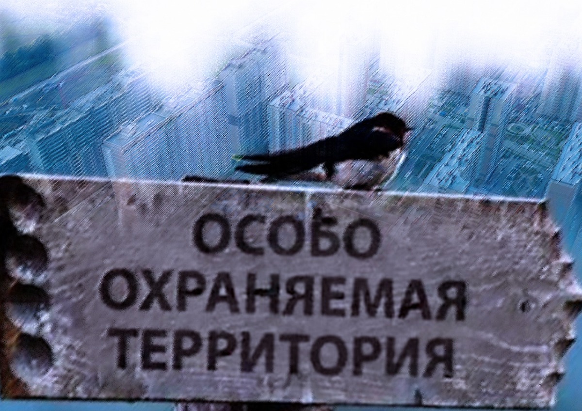 В Мосгордуме предложили запретить строительство в границах ООПТ и вблизи объектов культурного наследия