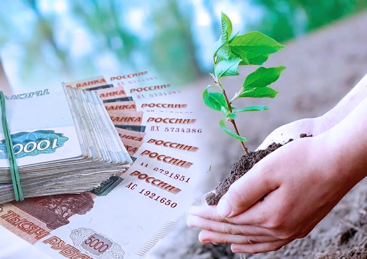 Более 400 млн рублей потратит Москва на закупку и высадку деревьев по программе «Наше дерево»