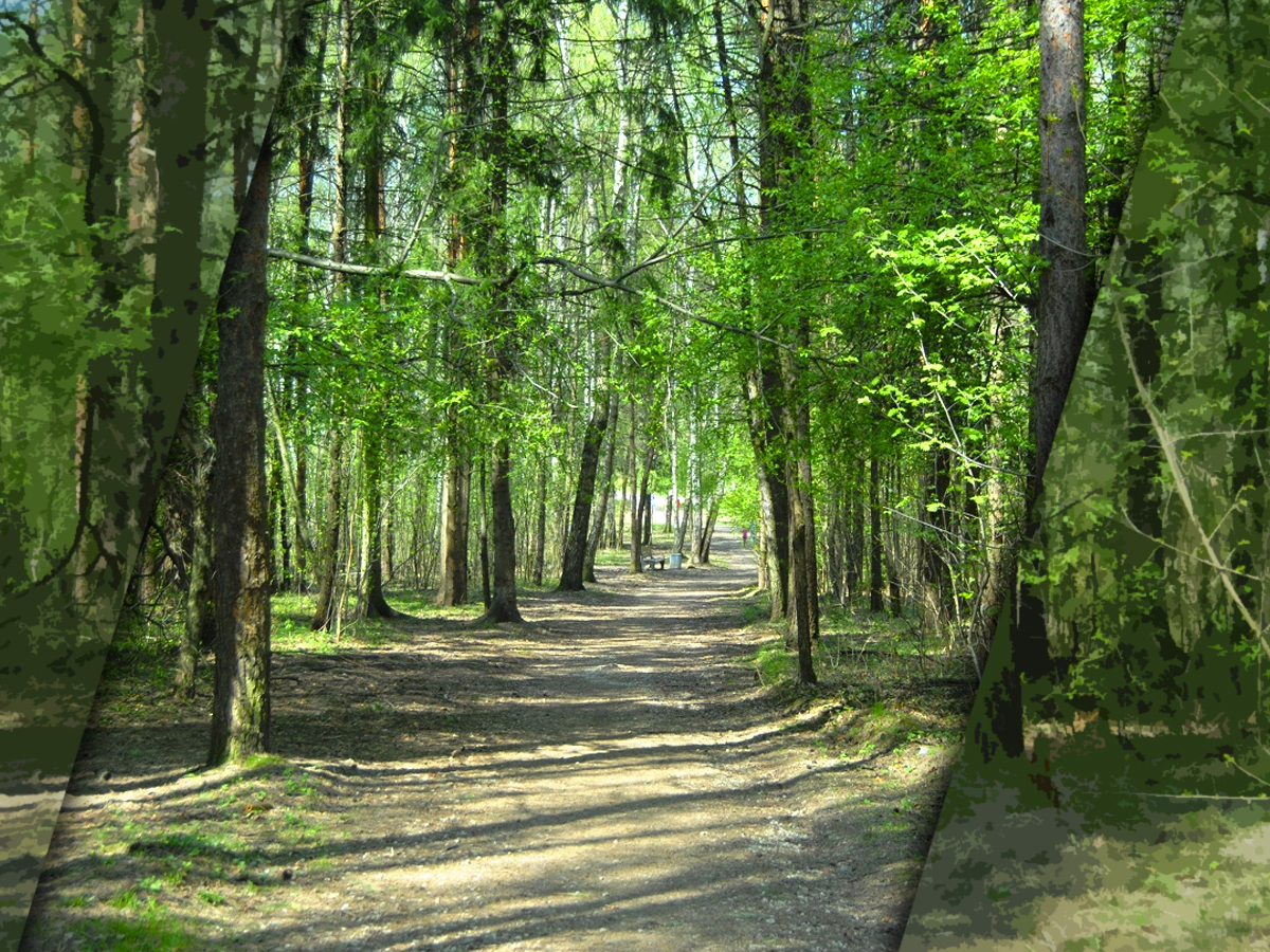 Работы по благоустройству Битцевского леса могут начать этой весной, несмотря на обещания заморозить проект до 2024 года