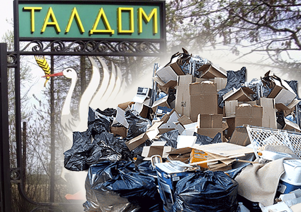 В Подмосковье ликвидируют Талдомский мусорный полигон