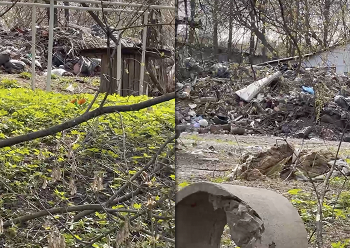 К Серебряно-Виноградному пруду в Измайлово свозят мусор с нелегальной свалки