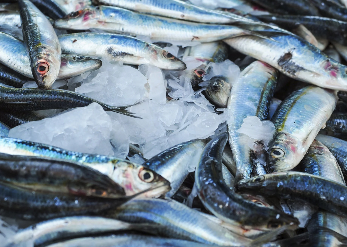 Как отразится на ценах решение РФ по рыбному промыслу с Японией