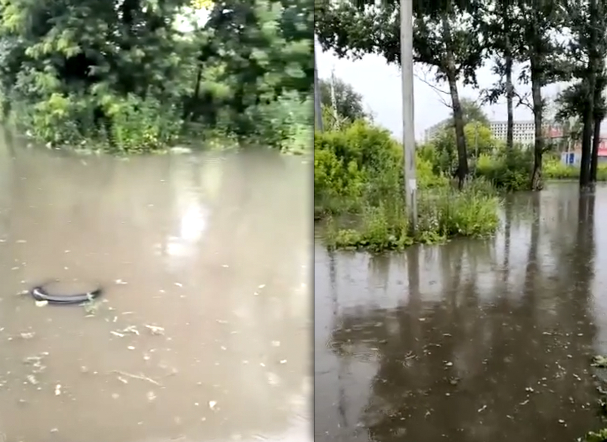 Потоп или экологическая катастрофа: с чем приходится мириться жителям подмосковного посёлка Чкалово