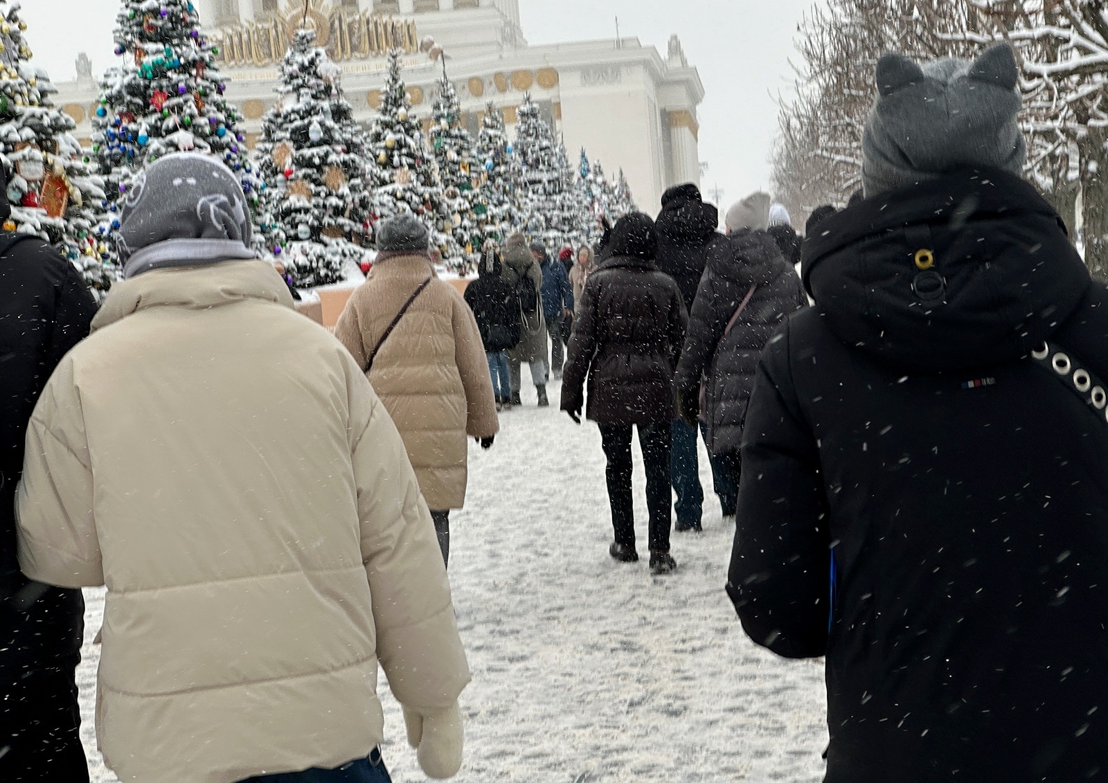 В ГУРБ МО предупредили об активизации мошенников в преддверии Нового года