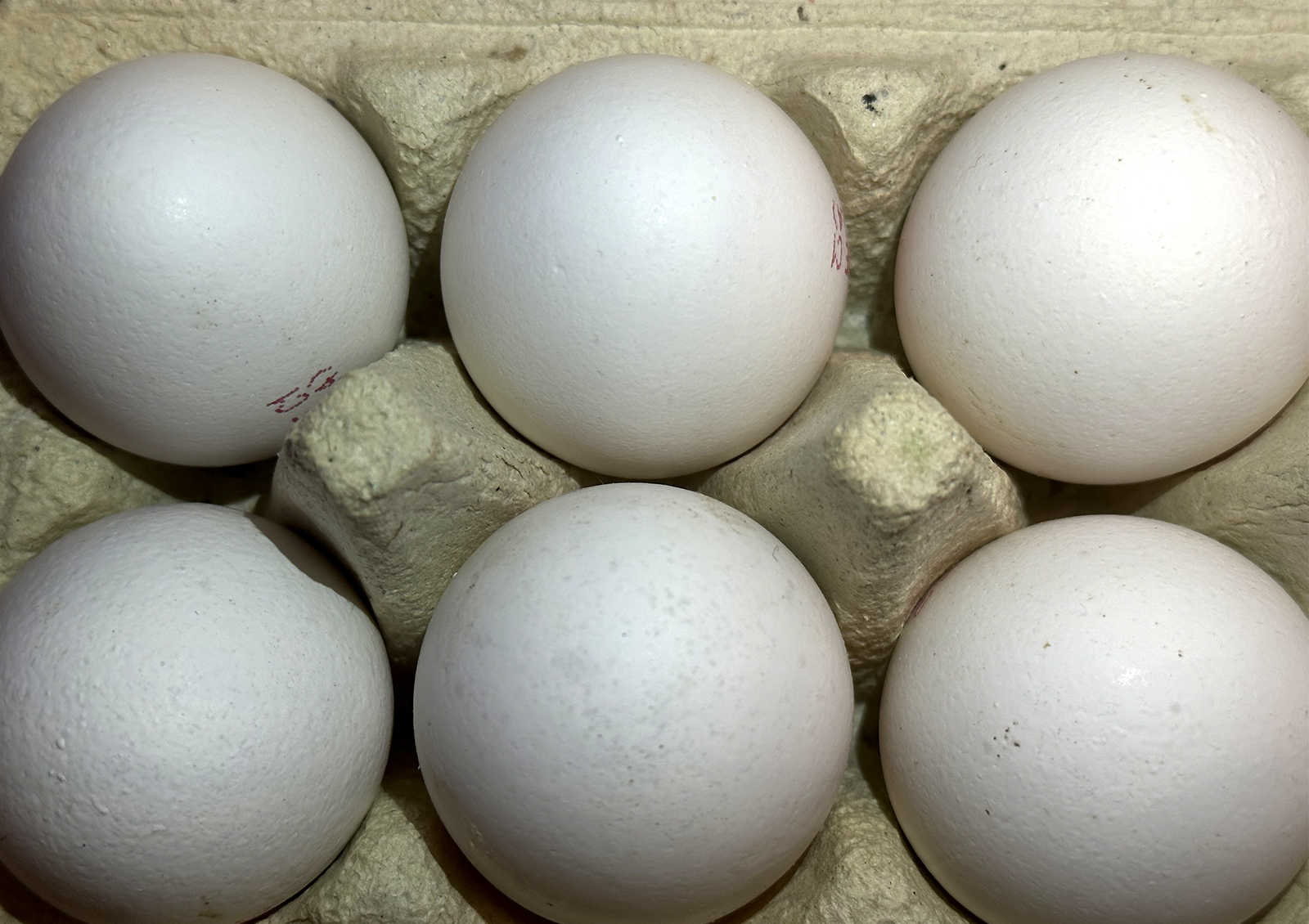 В Госдуме нашли ответственных за решение проблемы с ценами на яйца